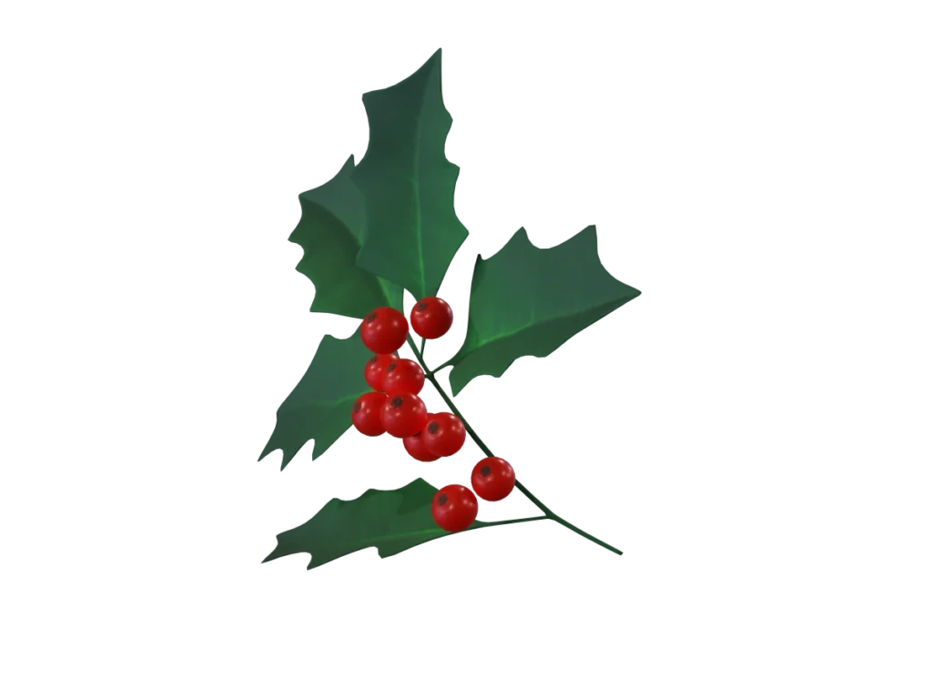 holly-leaves-berries-3d-model-tb