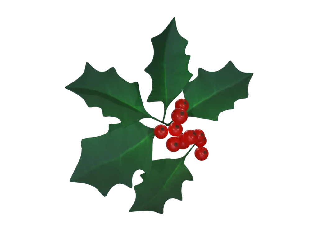 holly-leaves-berries-3d-model-tc