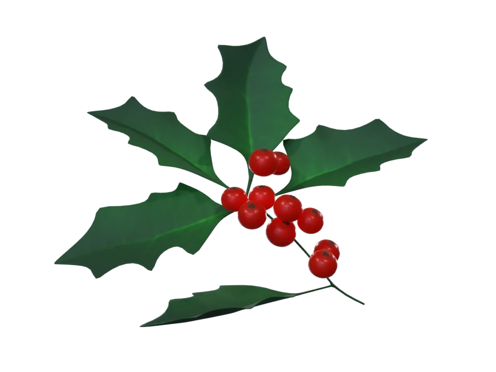 holly-leaves-berries-3d-model-td