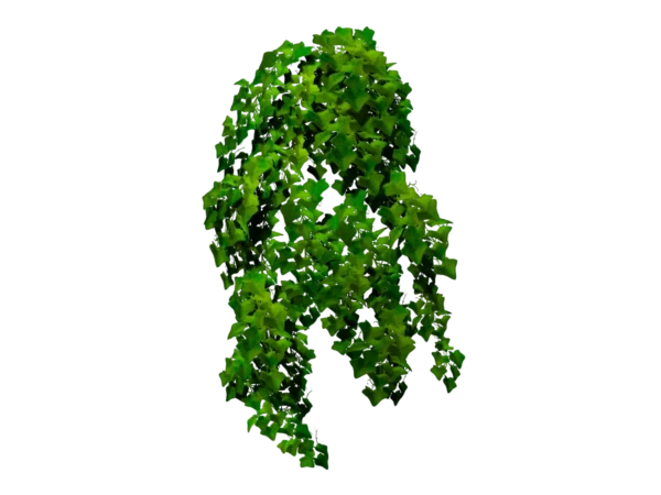 ivy-plant-3d-model-ta