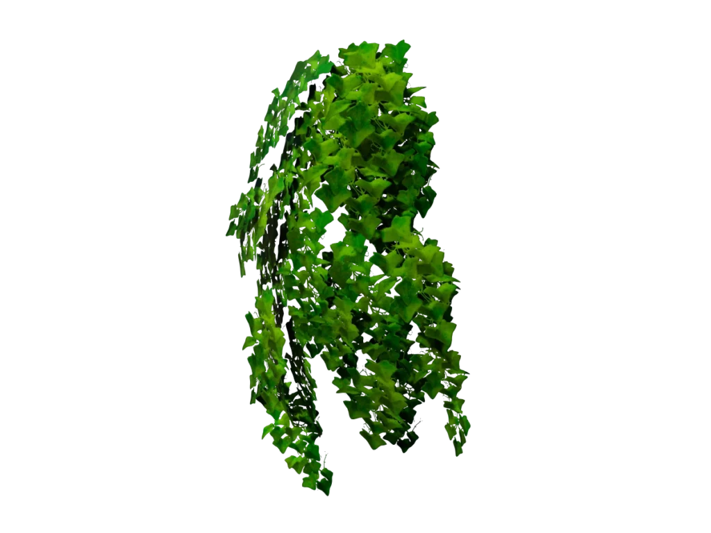 ivy-plant-3d-model-tb