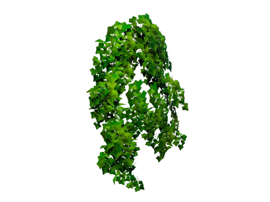 ivy-plant-3d-model-tc