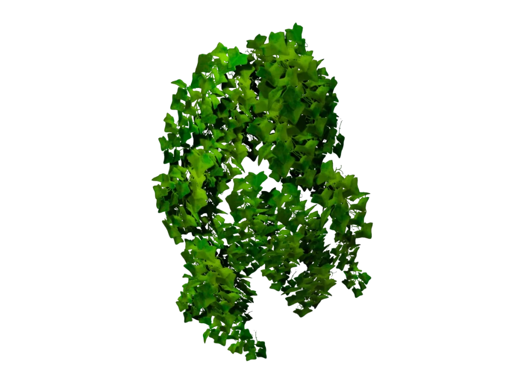 ivy-plant-3d-model-td