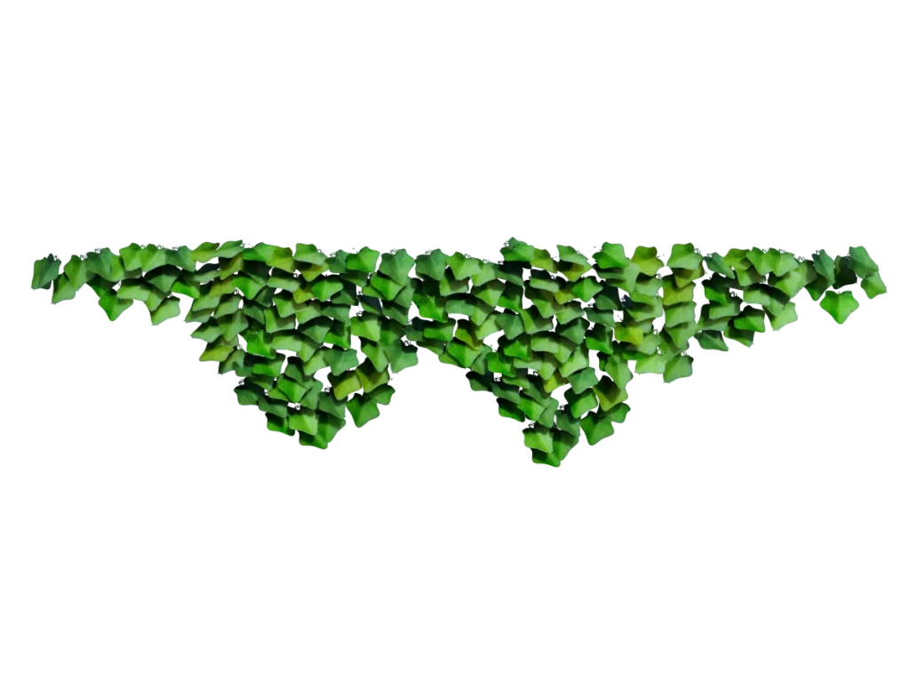 ivy-plant-evergreen-3d-model-ta