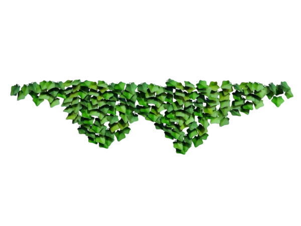 ivy-plant-evergreen-3d-model-ta