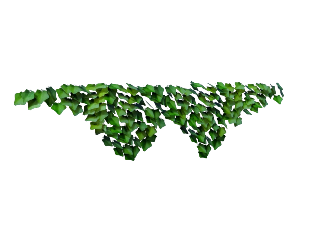 ivy-plant-evergreen-3d-model-tc