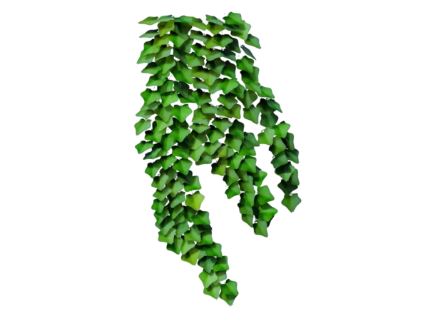 ivy-plant-hedera-3d-model-ta
