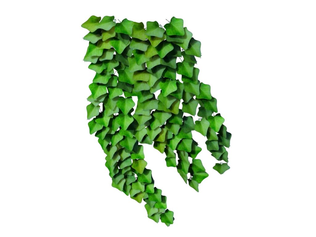 ivy-plant-hedera-3d-model-td