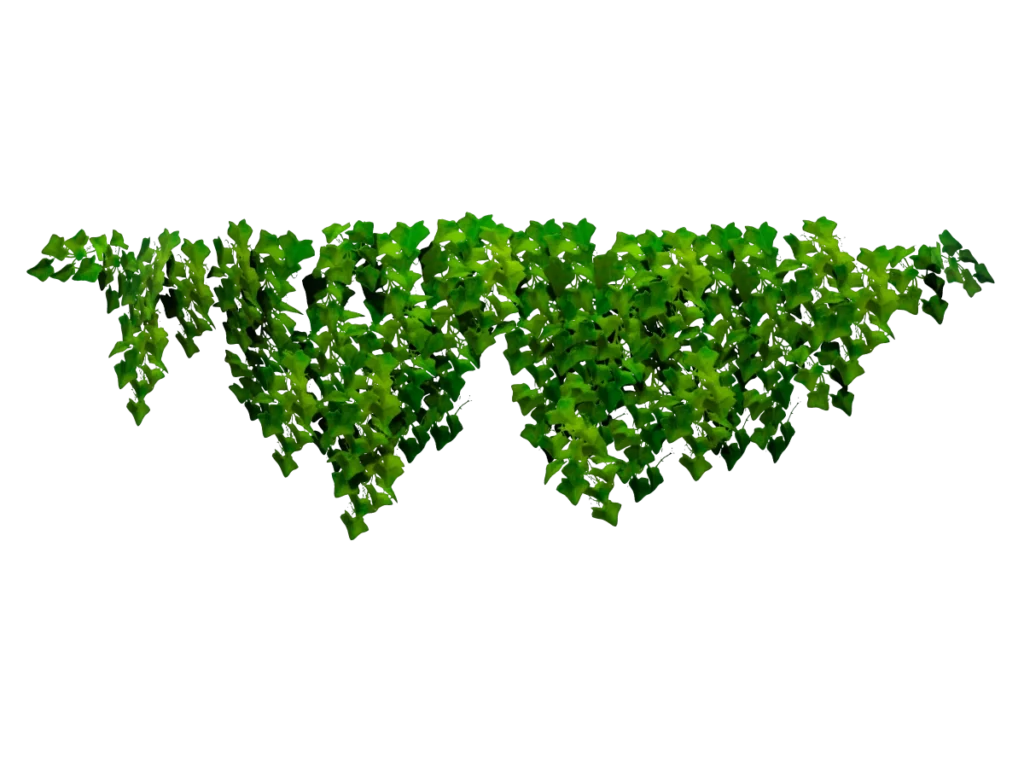 ivy-plant-wide-3d-model-ta