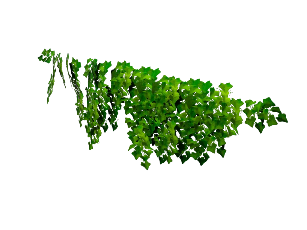 ivy-plant-wide-3d-model-tb