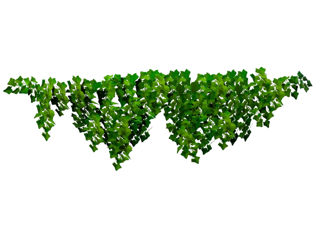 ivy-plant-wide-3d-model-td