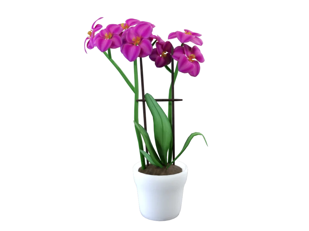orchid-pot-3d-model-ta
