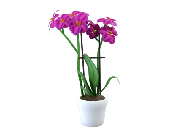 orchid-pot-3d-model-ta