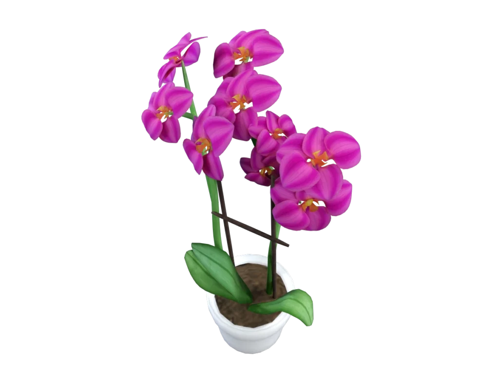orchid-pot-3d-model-tc