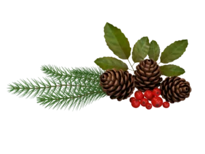 pine-cone-spruce-fir-leaf-3d-model-ta