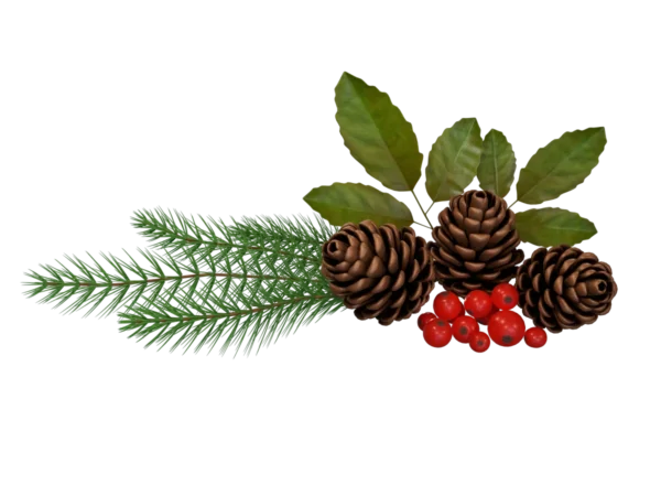 pine-cone-spruce-fir-leaf-3d-model-ta