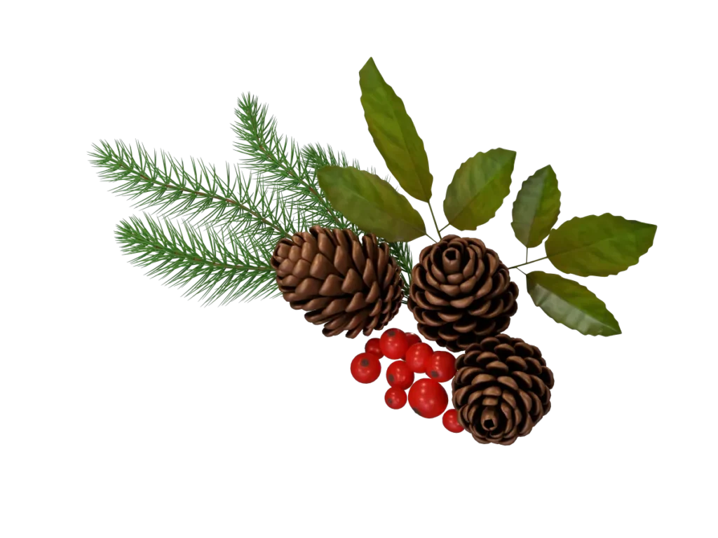 pine-cone-spruce-fir-leaf-3d-model-tb