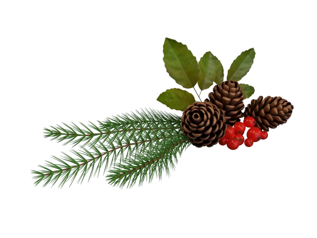 pine-cone-spruce-fir-leaf-3d-model-tc