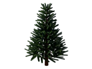 pine-tree-3d-model-ta