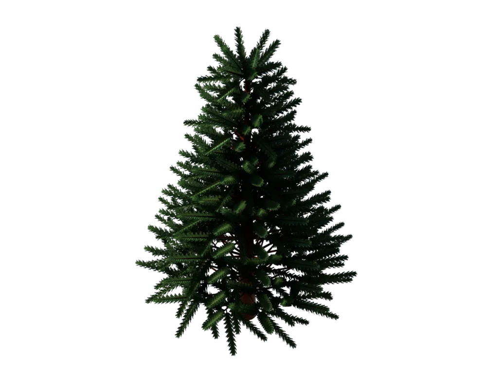 pine-tree-3d-model-tb