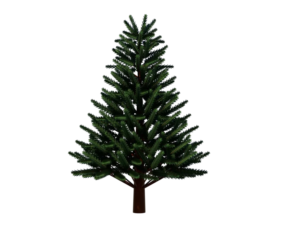 pine-tree-3d-model-td