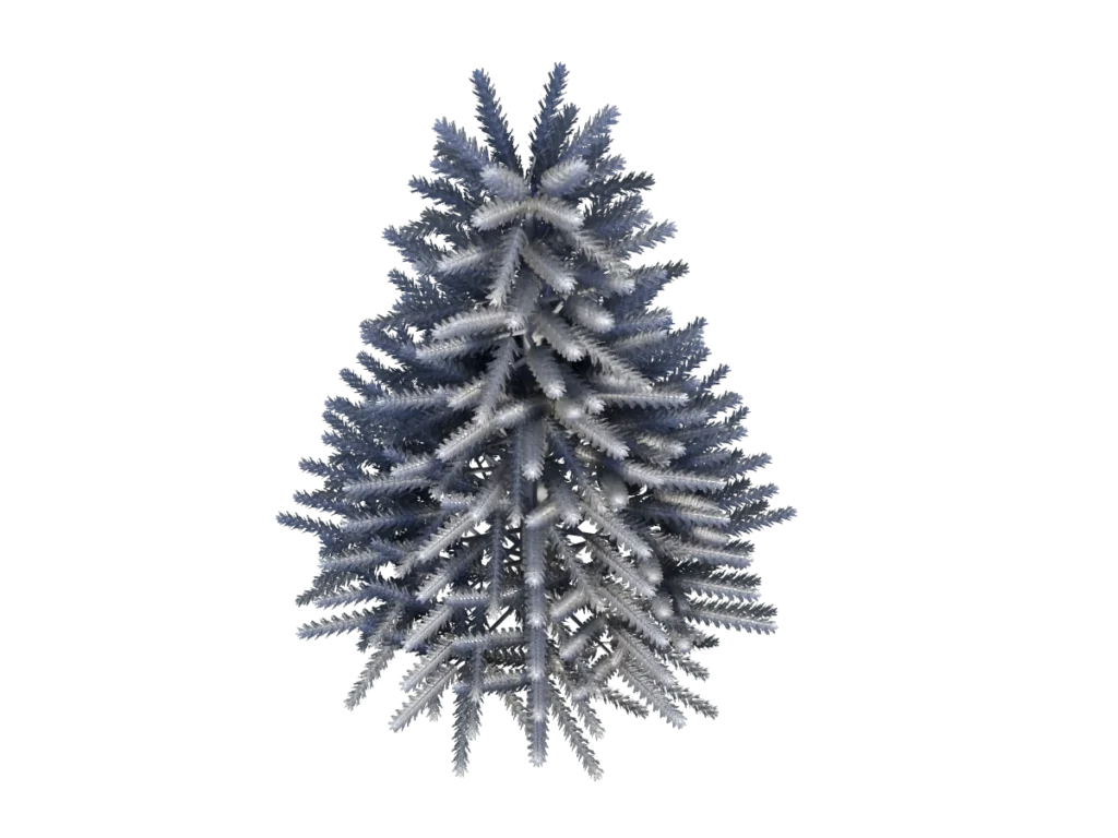pine-tree-white-snow-3d-model-tc