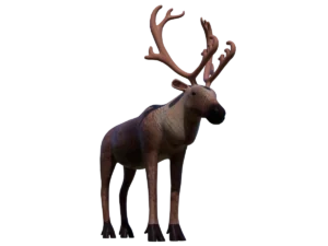 reindeer-3d-model-ta