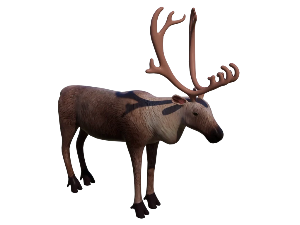 reindeer-3d-model-tb