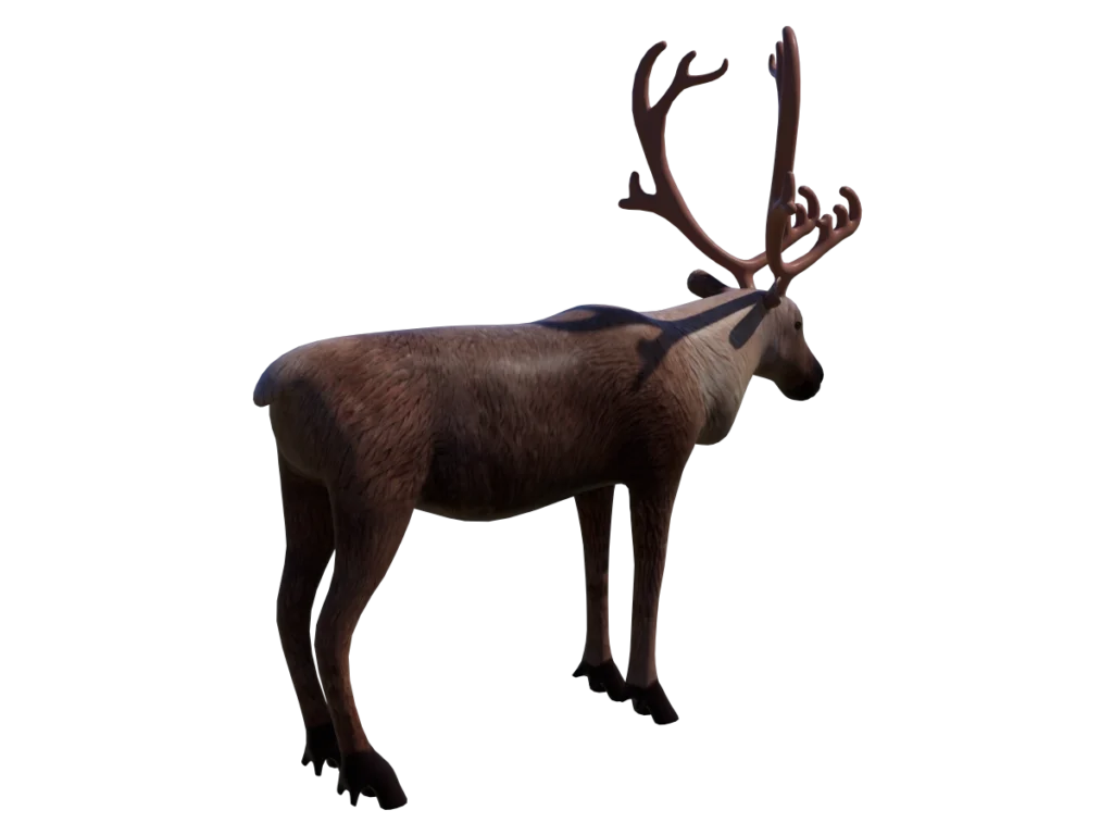 reindeer-3d-model-tc