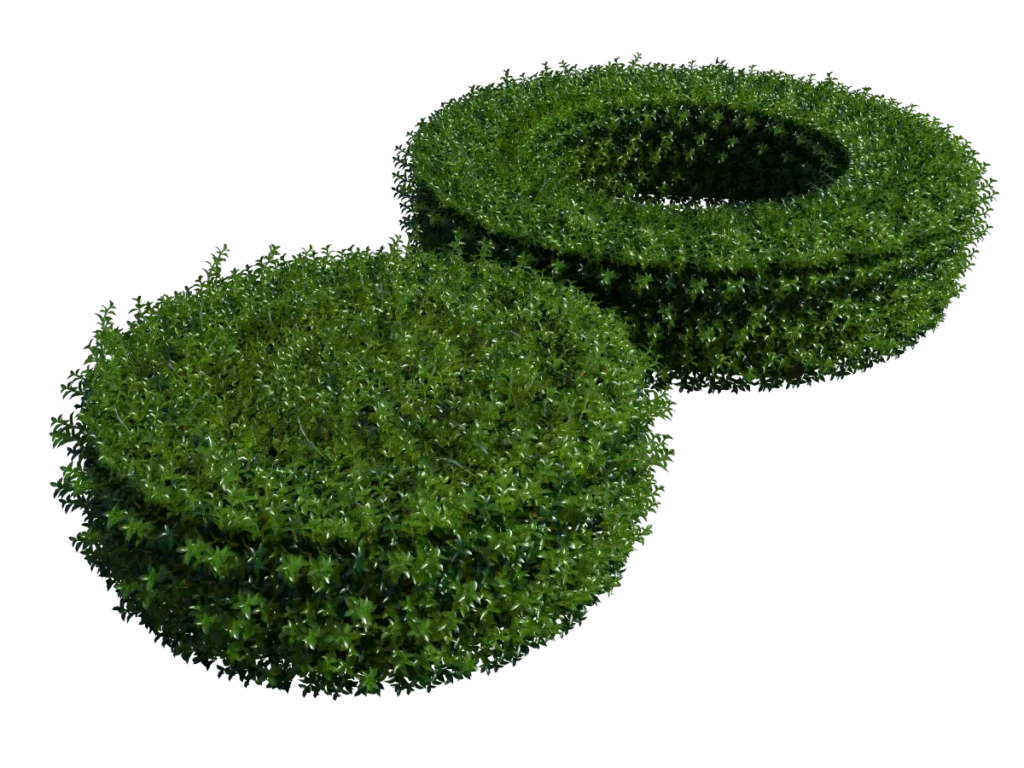 round-hedge-plants-3d-model-ta