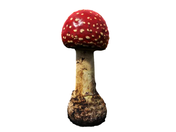 red-mushroom-3d-scan-pbr-3d-model-1
