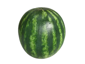 watermelon-3d-scan-pbr-3d-model-1