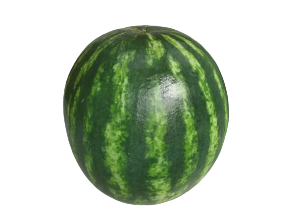 watermelon-3d-scan-pbr-3d-model-1