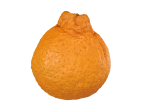 dekopon-sumo-citrus-3d-scan-pbr-3d-model-1