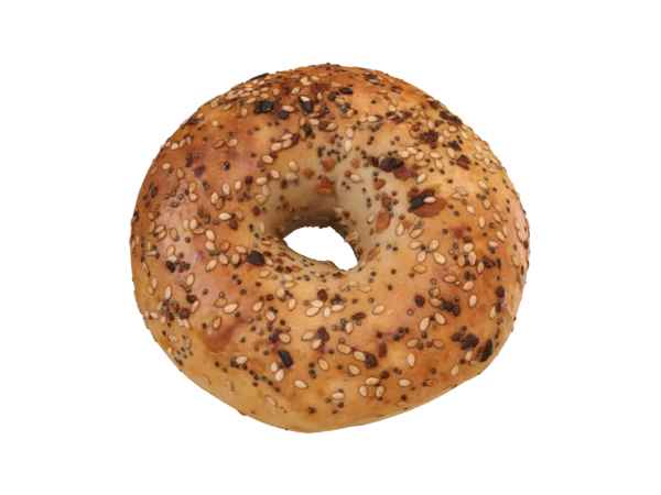 everything-multigrain-bagel-3d-scan-pbr-3d-model-1