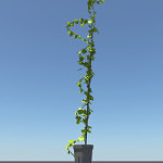 Ivy-plant-single-3d-model-3