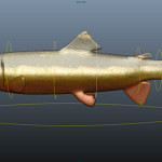 salmon-3d-model-rigged-2