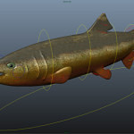 salmon-3d-model-rigged-3