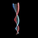 protein-synthesis-dna-3dmodel-7