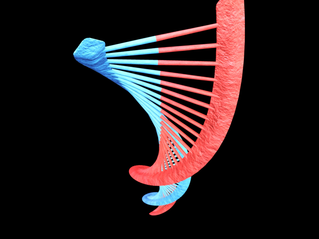Protein Synthesis 3D Model 3D Models World