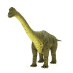 brontosaurus-apatosaurus-3d-model-1