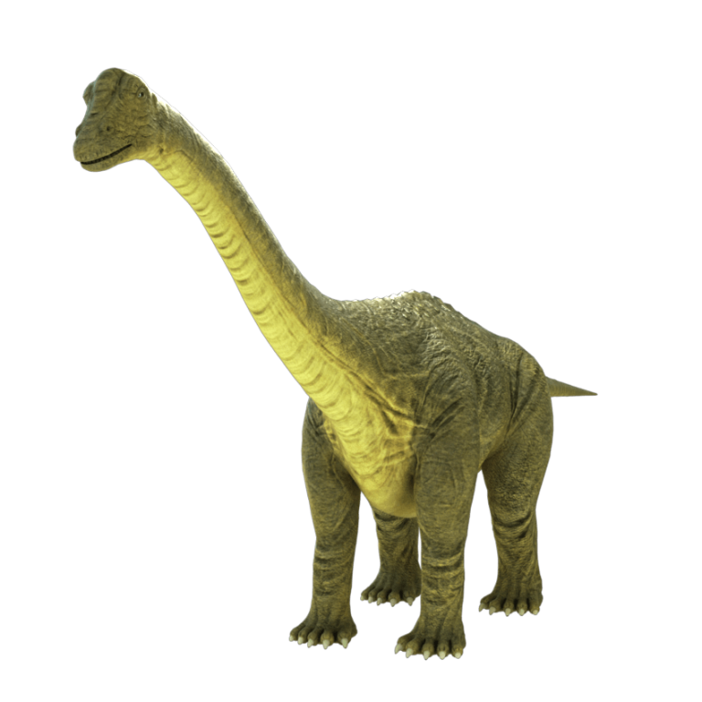 3d brontosaurus