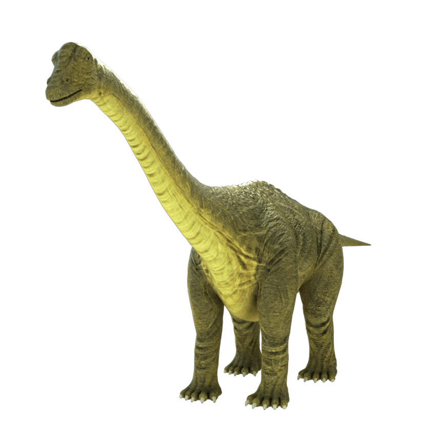 brontosaurus dinosaur