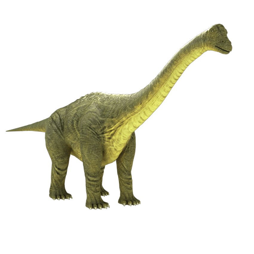 brontosaurus-apatosaurus-3d-model-2