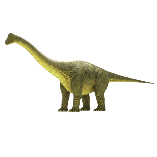 brontosaurus view in 3d