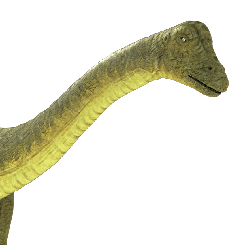 brontosaurus-apatosaurus-3d-model-4