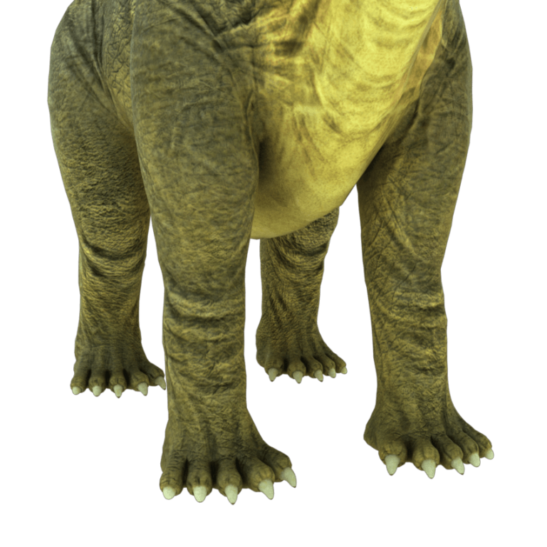 brontosaurus view in 3d