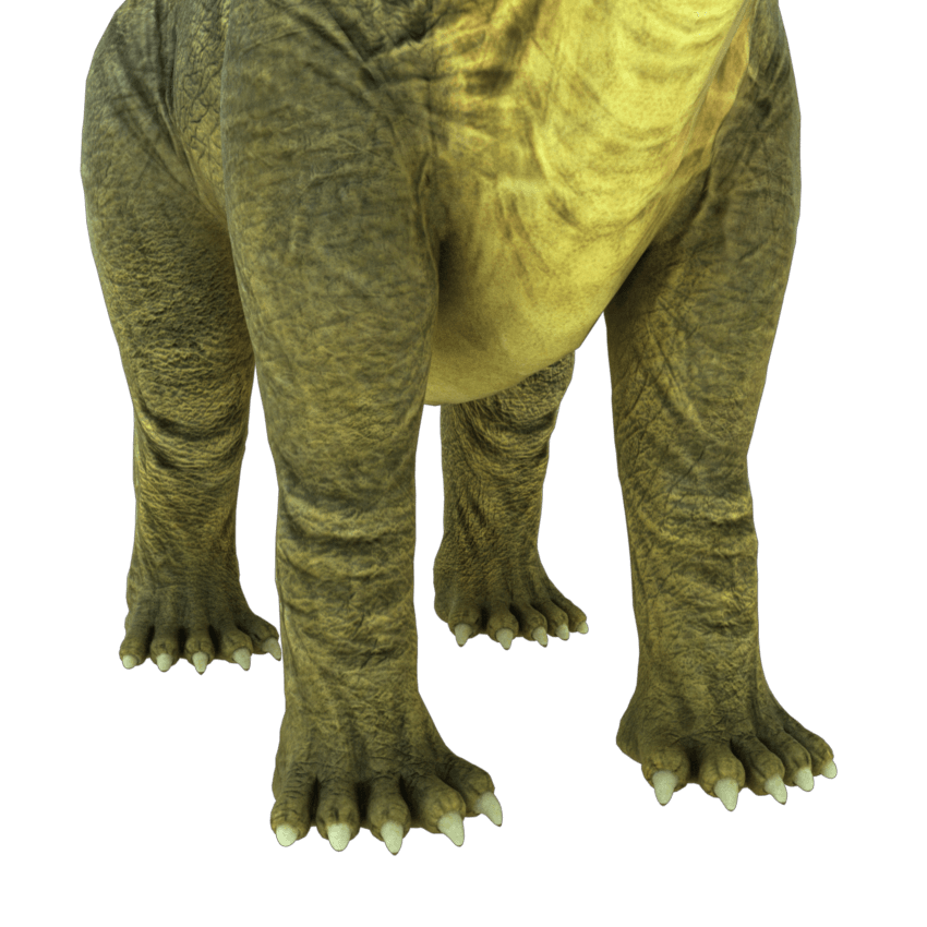 brontosaurus-apatosaurus-3d-model-5