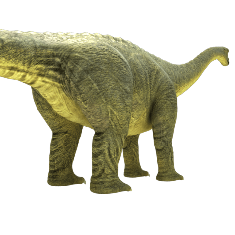brontosaurus view in 3d