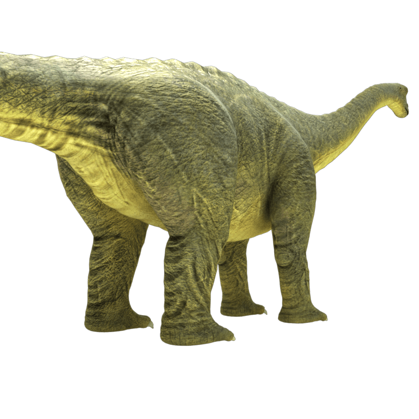 brontosaurus-apatosaurus-3d-model-6